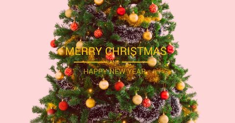 Festive Christmas Tree with Holiday Greetings Text - Download Free Stock Images Pikwizard.com