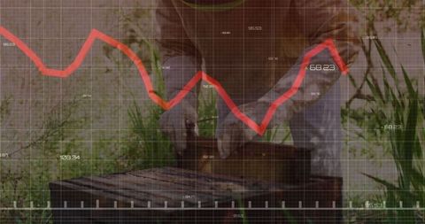 Beekeeper Analyzing Hive with Data Overlay Graphics