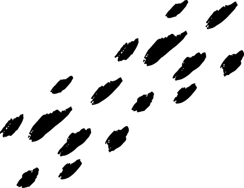 Black Brush Strokes on Transparent Background for Modern Design - Download Free Stock Videos Pikwizard.com