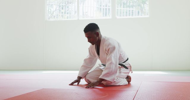 Martial Artist Kneeling on Mat in Judo Dojo - Download Free Stock Images Pikwizard.com
