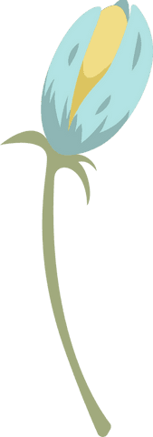 Minimalistic blue and yellow flower bud on transparent background