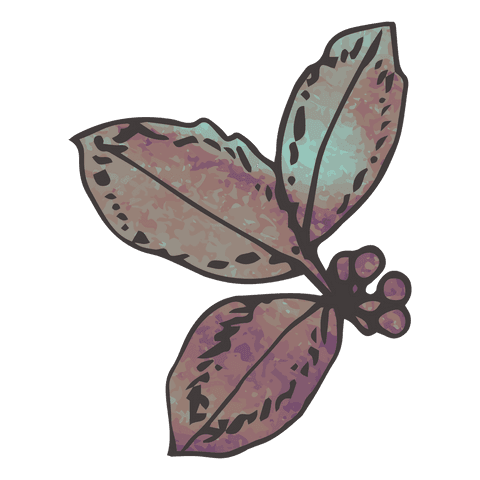 Autumn artistic dry leaves transparent background