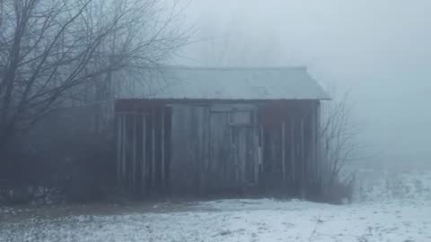 Fog rolling over weathered shed sitting at field edge in winter mist