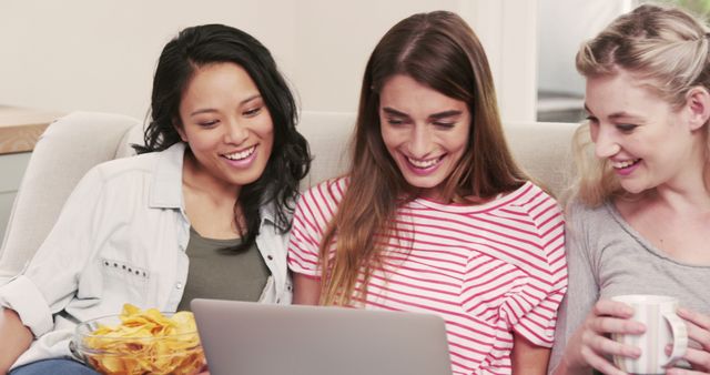 Group of Diverse Young Women Enjoying Leisure Time Together at Home - Download Free Stock Images Pikwizard.com