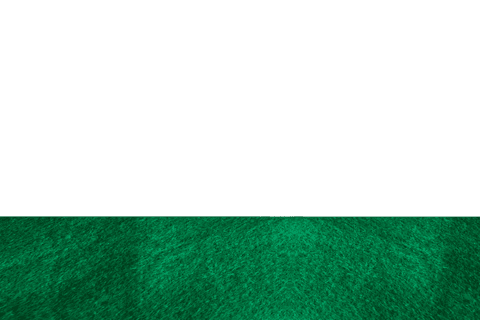 Transparent Background of Close-Up Grassland Texture and Design - Download Free Stock Videos Pikwizard.com