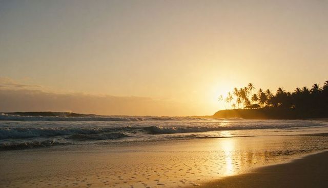 Golden sunset silhouetting palm headland above reflective tropical shoreline and waves