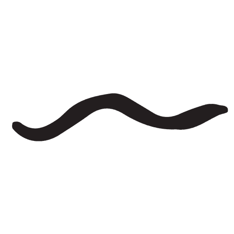 wavy black line on transparent background vector - Download Free Stock Videos Pikwizard.com