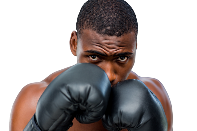 African American Male Boxer with Gloves on Transparent Background - Download Free Stock Videos Pikwizard.com