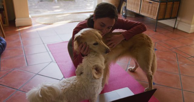 Caucasian woman exercising and stroking her pet dogs using laptop at home. lifestyle, fitness, pet, companionship and animal friendship concept.