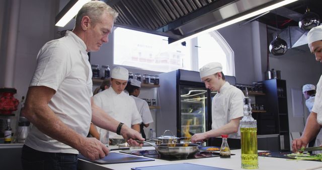 Professional Chef and Team Cooking in Modern Commercial Kitchen - Download Free Stock Images Pikwizard.com