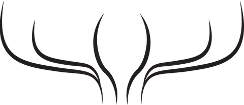 Abstract Curved Antler Design on Transparent Background - Download Free Stock Videos Pikwizard.com