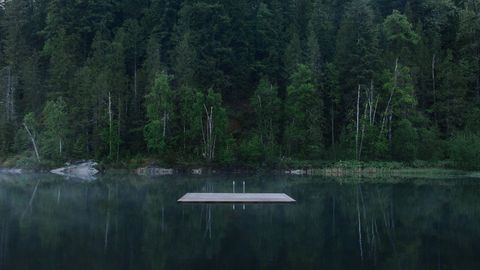 Floating Dock on Calm Forest Lake Surroundings at Dawn
