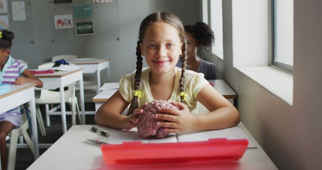 Young girl sits at desk in classroom holding a brain model and smiling at the camera. Ideal for use in educational materials, science and child development articles, and promotional content for schools or educational programs.
