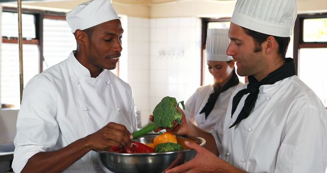 Professional Chefs Discussing Fresh Vegetables in Commercial Kitchen - Download Free Stock Images Pikwizard.com