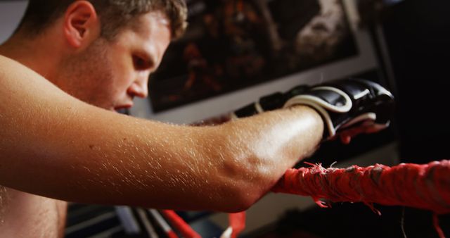 Boxer Resting on Ropes in Ring During Training Session - Download Free Stock Images Pikwizard.com