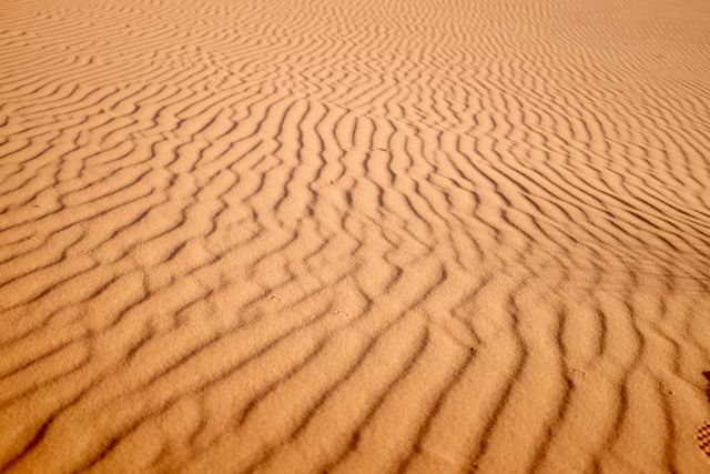 Golden Sand Dunes with Rippling Patterns - Download Free Stock Photos Pikwizard.com