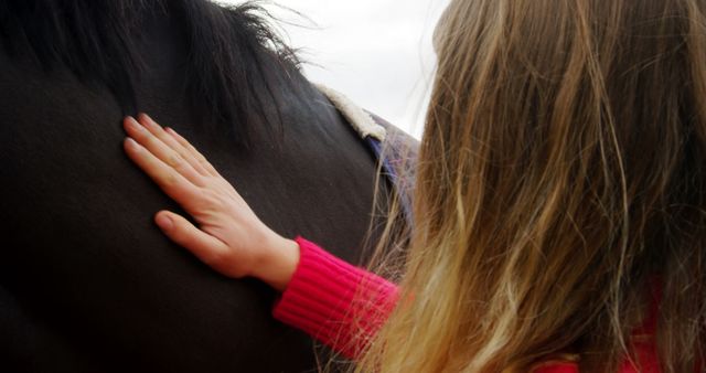 A young girl wearing a red sweater is gently patting a horse. This shows a tender moment of bond and trust between a child and an animal. Ideal for use in themes related to friendship, care, and outdoor activities involving animals. Perfect for promoting children's activities, animal care programs, equestrian lessons, and emotional connection advertisements.