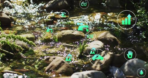 Eco symbols overlay on sunlit creek in forest environment