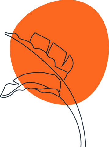 Stylized tropical leaf over orange shape, transparent background