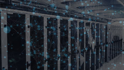 Data Center Servers with Digital Connection Network