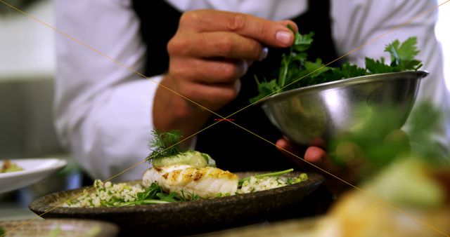Chef garnishing grilled fish dish with fresh herbs in gourmet kitchen. Perfect for use in culinary arts articles, restaurant promotional materials, food blogs, and cooking tutorials.