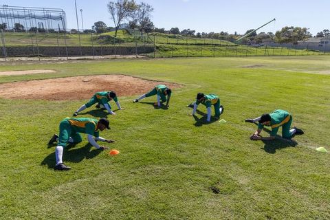 Baseball Players Stretching in Green Uniforms During Sunny Field Warmup and Team Drills