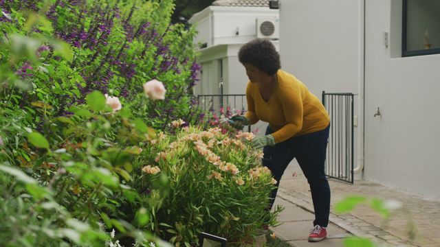 An African American woman is tending to a lush garden filled with vibrant plants and flowers. She appears to be engaged in her hobby, contributing to her lifestyle of leisurely activities outside her home. This image can be used to illustrate diverse participation in horticultural activities, promote outdoor lifestyle advertisements, or enhance content focused on gardening as a relaxing pastime.