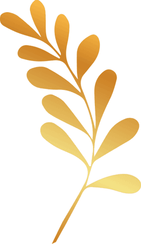 golden leaf branch vector with gradient on transparent background - Download Free Stock Videos Pikwizard.com