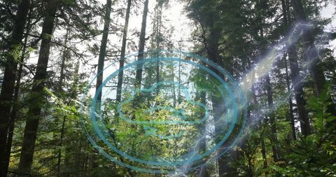 Futuristic Hologram in Forest with Lightning and Sunbeams