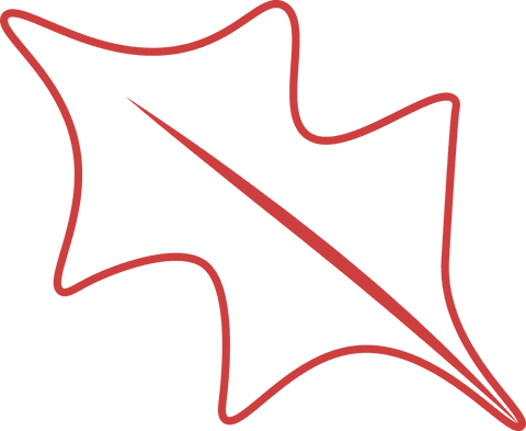 Red Abstract Leaf Shape on Transparent Background - Download Free Stock Videos Pikwizard.com