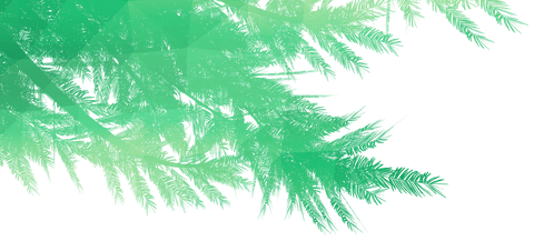 Transparent Geometric Green Fir Tree Illustration - Download Free Stock Videos Pikwizard.com