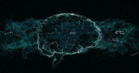 Digital brain and data mesh overlay