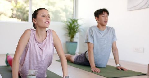 Couple practicing cobra pose on green mats inside bright home yoga studio with plant