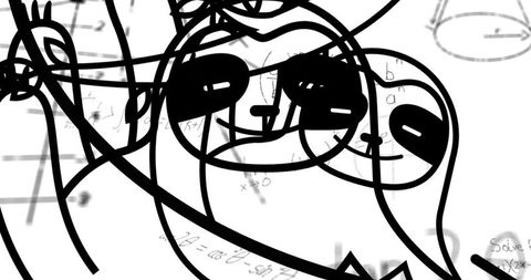 Playful Sloths Among Mathematical Equations