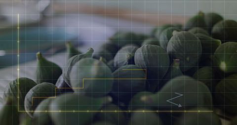Digital Financial Graph Overlaying Fresh Vegetables for Eco-Economy Concept - Download Free Stock Images Pikwizard.com