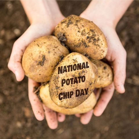 hands holding potatoes celebrating national potato chip day - Download Free Stock Templates Pikwizard.com