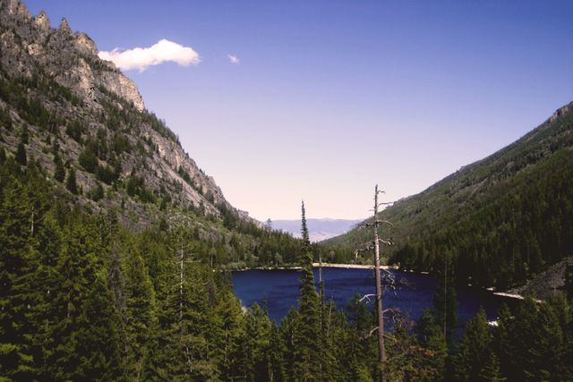 Mountain Landscape with Serene Lake and Evergreen Forests - Download Free Stock Photos Pikwizard.com