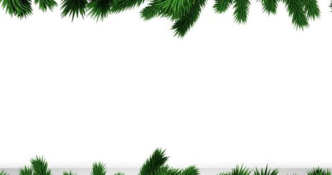 Festive pine branches border on white background
