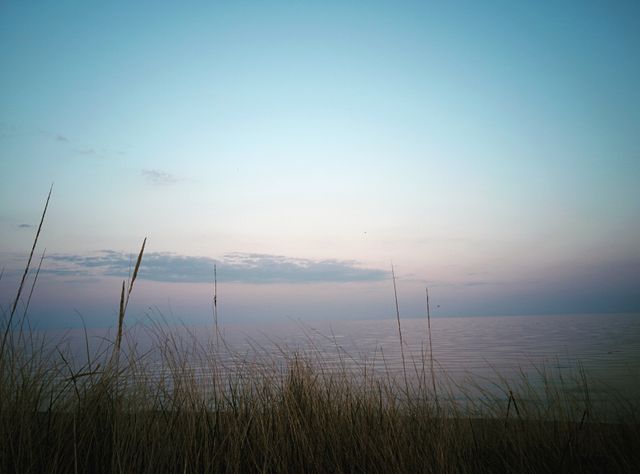 Serene Coastal Sunset With Tranquil Ocean and Dried Grasses - Download Free Stock Photos Pikwizard.com