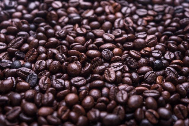 Close Up of Freshly Roasted Coffee Beans - Download Free Stock Photos Pikwizard.com