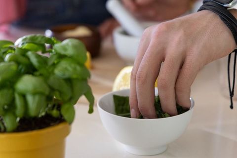Hand reaching for fresh basil in white bowl on kitchen counter with potted herb