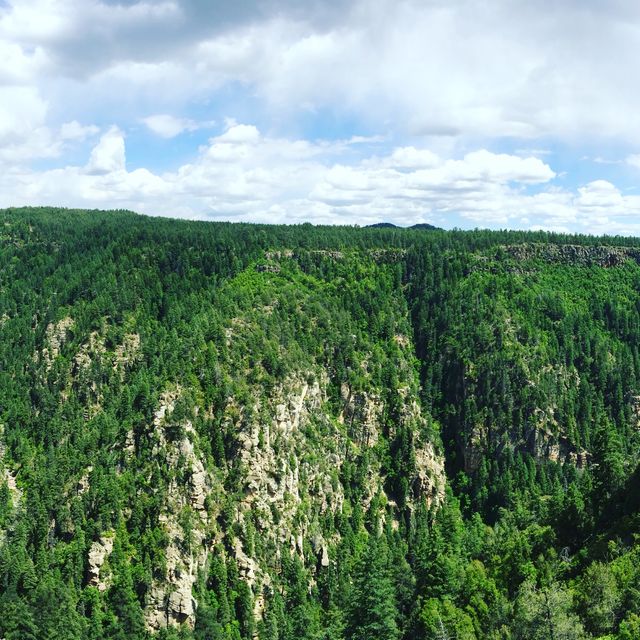 Dense forest covering imposing rocky canyon under partly cloudy sky. Suitable for nature-themed content, environmental campaigns, outdoor activity promotions, and scenic landscape projects.