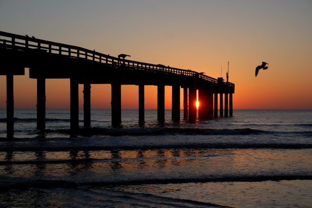 A serene sunset scene features a wooden pier with seagulls silhouetted against the orange sky. The sun sets behind the pier, casting reflections on the water and creating a calm, peaceful atmosphere. Perfect for travel blogs, coastal resort advertisements, relaxation themes, and greeting cards.