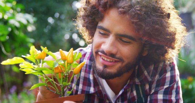 Smiling man looking at pot plant in green house