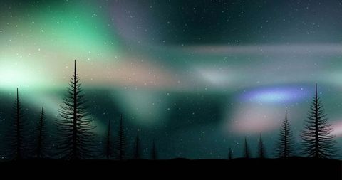 Ethereal Aurora Borealis Above Pine Forest Silhouette - Download Free Stock Images Pikwizard.com