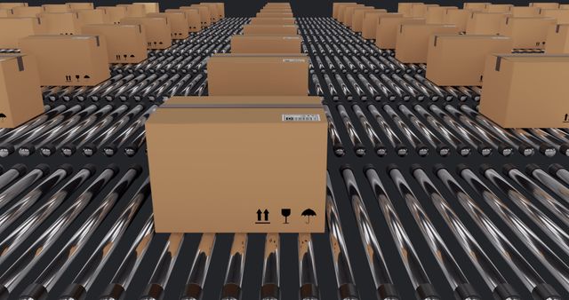 Cardboard Boxes on Automated Conveyor Belts in Warehouse - Download Free Stock Images Pikwizard.com