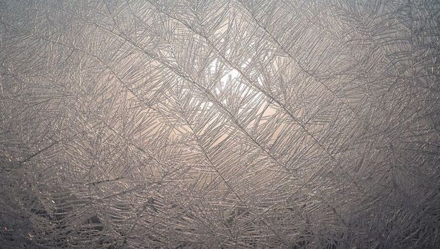 Dendritic frost crystals forming on window with pale morning backlight and droplets