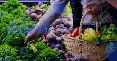 Shoppers picking kale and bell peppers with wicker basket at market with data overlay