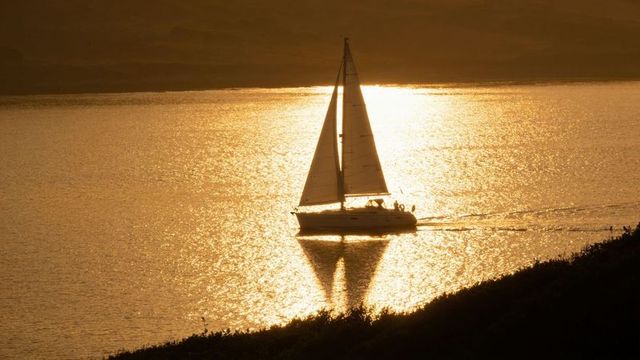 Sailing sloop gliding through golden sunset reflection on calm coastal bay water silhouette