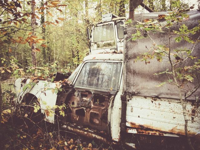 Depicts an old, rusty truck abandoned in an overgrown forest. The vegetation has started to engulf the vehicle, signifying time's passage and nature’s reclaiming. This image can be used for concepts of decay, forgotten places, and vintage aesthetics. Suitable for illustrating themes of time, neglect, natural reclamation, and historical preservation.